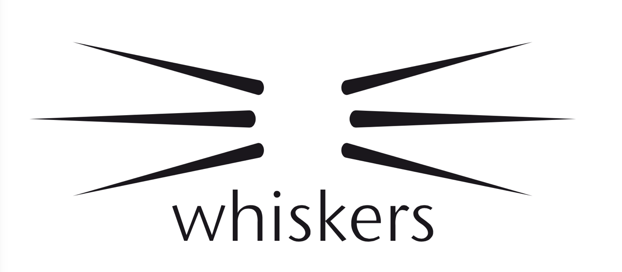 Image result for whiskers